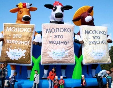 Уже завтра в Уфе состоится фестиваль «Молочная страна»