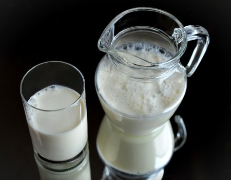 В республике планируют создать бренд молочной продукции «Из Башкортостана»