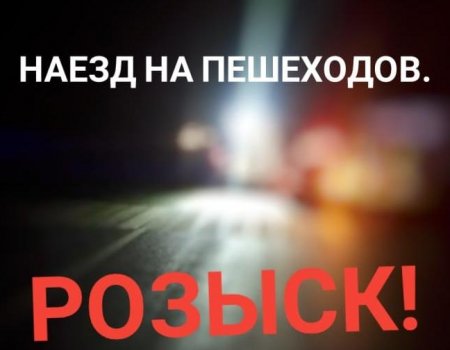 В Башкирии разыскивается водитель, сбивший двух пешеходов