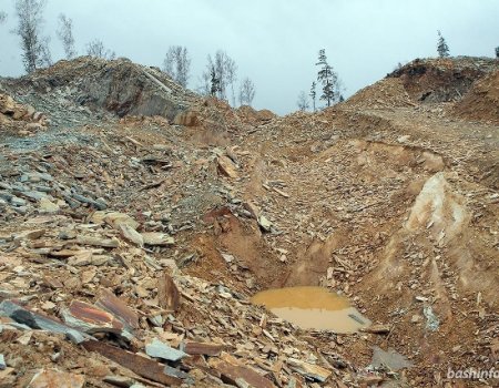 Депутаты признали неудовлетворительной деятельность Минэкологии в сфере добычи ископаемых