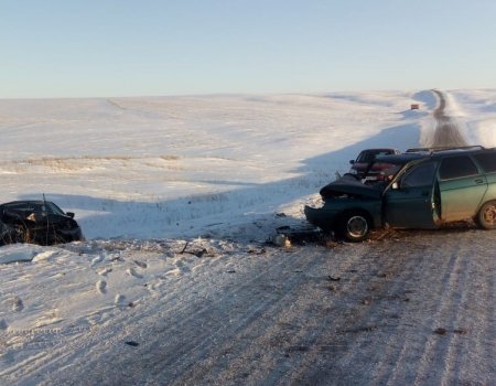 В Башкортостане лоб в лоб столкнулись два отечественных автомобиля: один человек погиб