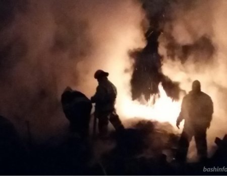 В Башкортостане в жилом доме заживо сгорели четыре человека: стала известна причина пожара