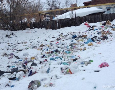 Регоператор по уфимской зоне отчитался по вывозу мусора в новогодние каникулы