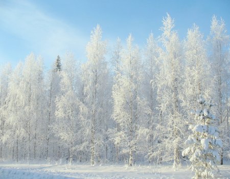 В Башкортостан возвращаются 20-градусные морозы