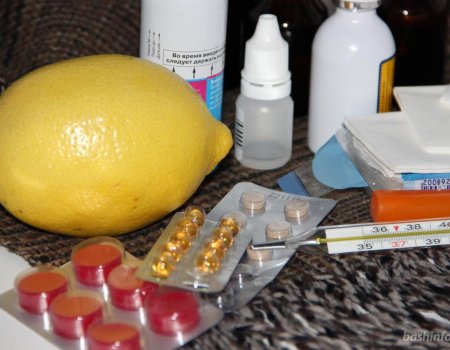 Эпидпорог заболеваемости гриппом и ОРВИ в Башкортостане превышен на 28% - Роспотребнадзор