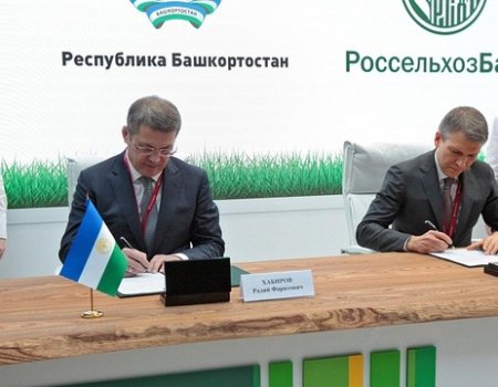 Башкортостан на инвестфоруме в Сочи подписал соглашение с Россельхозбанком
