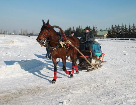 В Бурзянском районе Башкортостана пройдет традиционный Праздник зимы