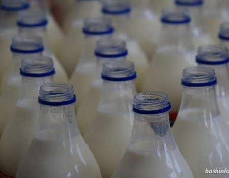 Жители Сибая предлагают ввести талоны на молоко и соки