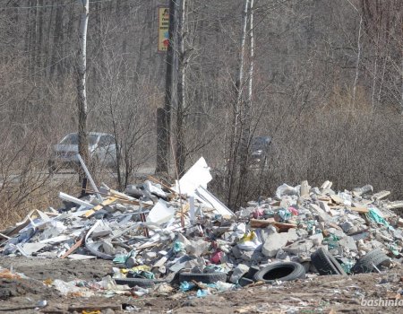 В апреле в Башкортостане может возникнуть мусорный коллапс - ОНФ