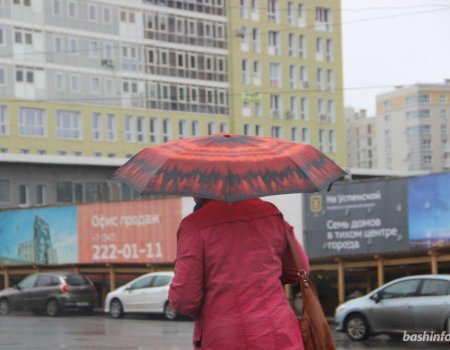 В Башкортостане в ближайшие три дня прогнозируется дождливая погода