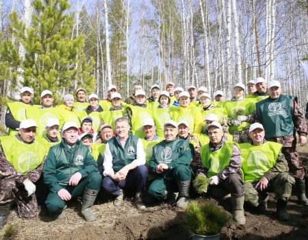 Радий Хабиров: За один день в Башкортостане посадили 1,5 млн саженцев деревьев