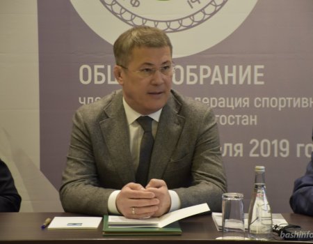 Радий Хабиров возглавил попечительский совет Федерации спортивной борьбы Башкортостана
