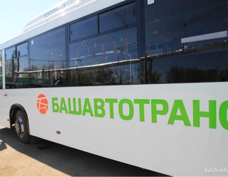 Колесо, Акбузат, стрелка, тамга — жители Башкортостана выбирают логотип транспорта