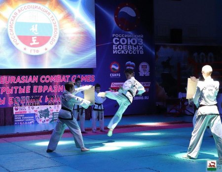 В Уфе стартовали вторые Евразийские игры боевых искусств