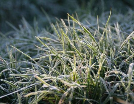 Похолодание в Башкортостане: на предстоящей неделе ожидаются заморозки, сильный ветер и грозы