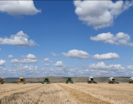 В Башкортостане в этом году урожай зерновых ожидается на уровне 3 миллионов тонн