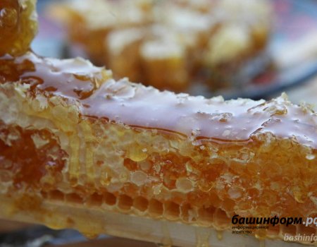 В Белебеевском районе Башкортостана состоится праздник «Пчелотуй»