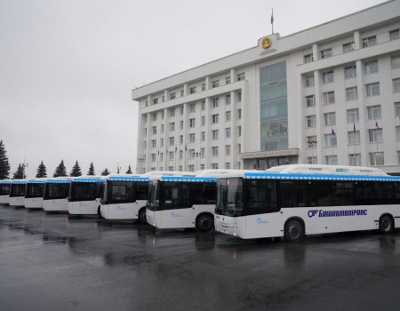 Автопарк «Башавтотранса» пополнился большими автобусами - Радий Хабиров