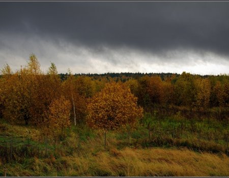 В Башкортостане ожидаются дожди и сильный ветер