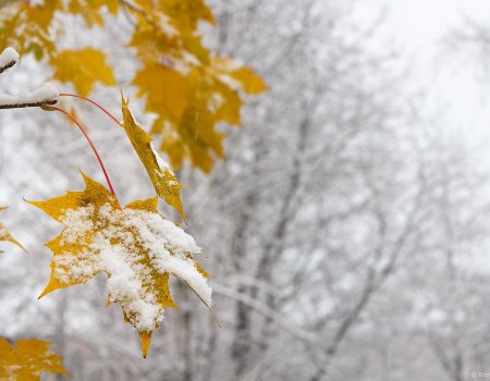 В Башкортостане существенно ухудшилась погода, на следующей неделе выпадет снег