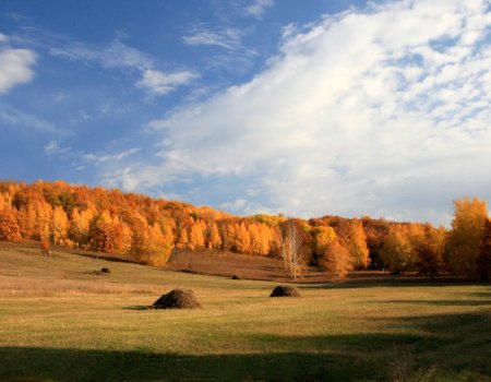 Жителей Башкортостана на этой неделе ждет значительное потепление