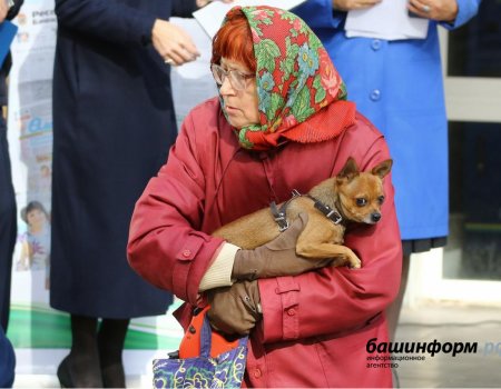 Глава Башкортостана подписал закон о повышении выплат ветеранам с 1 января 2020 года