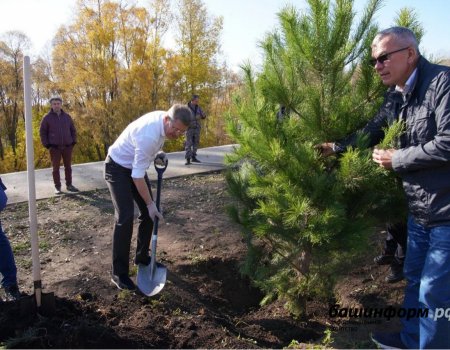 Глава Башкортостане в микрорайоне Сипайлово вместе с учителями и школьниками посадил деревья