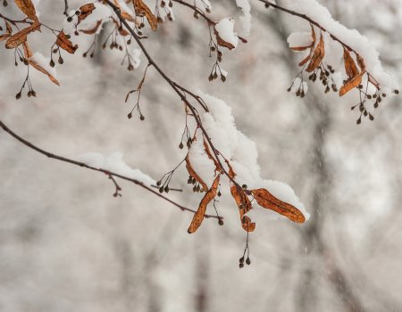 МЧС Башкортостана предупреждает о похолодании и установлении снежного покрова