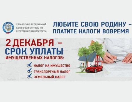 2 декабря истекает срок уплаты имущественных налогов – УФНС по Башкортостану