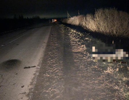 В Башкортостане водитель сбил на дороге двух девочек: одна школьница погибла