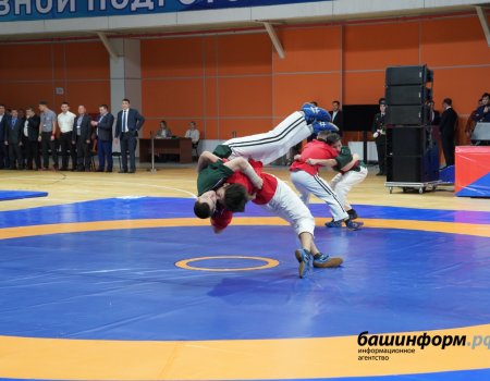 Всероссийский турнир по борьбе куреш памяти Артура Ахметханова объединил более 250 борцов