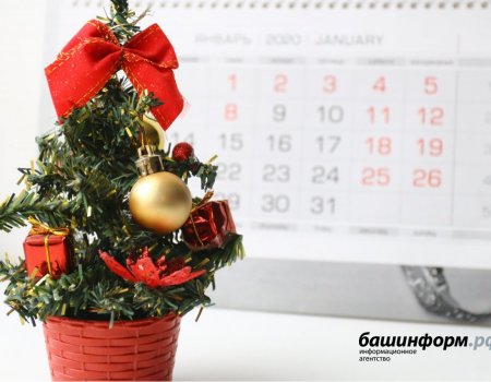 В Башкортостане разработали новогодний календарь 2020