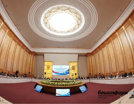 Делегаты форума «Россия – Исламский мир»: «Дружить надо по всем направлениям»