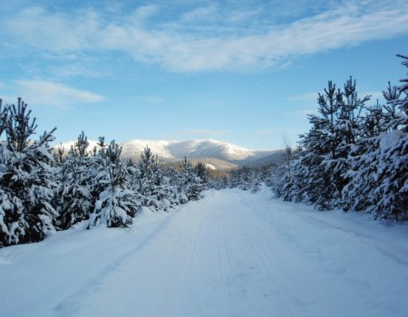 В Башкортостане первая неделя декабря будет пасмурной и снежной