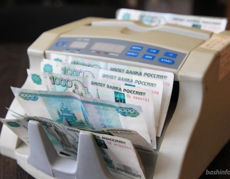 В Башкортостане начал действовать налог на профессиональный доход