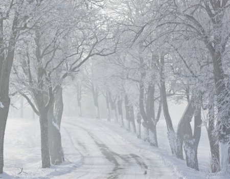В Башкортостане установилась плюсовая температура: прогноз на 17 января