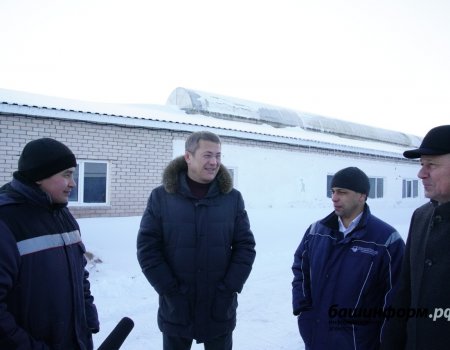 Радию Хабирову назвали среднюю зарплату в животноводческом хозяйстве Миякинского района