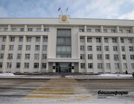 В РАИП Башкортостана реализуется 297 проектов, заявок от муниципалитетов - 1240