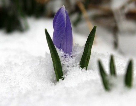 Гидрометцентр предупреждает о возможных морозах в марте