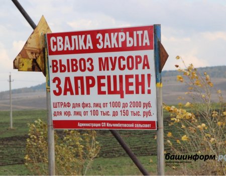 В Башкортостане из трех тысяч несанкционированных свалок ликвидировано лишь 414