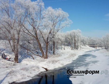 Какая погода будет в Башкортостане в начале недели