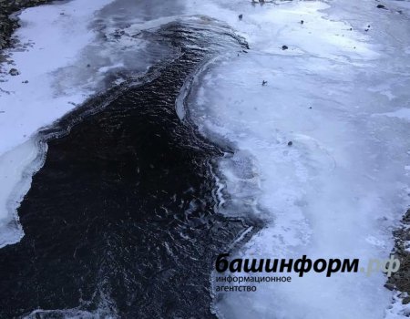 В Башкортостане из реки Белой извлекли тело мужчины