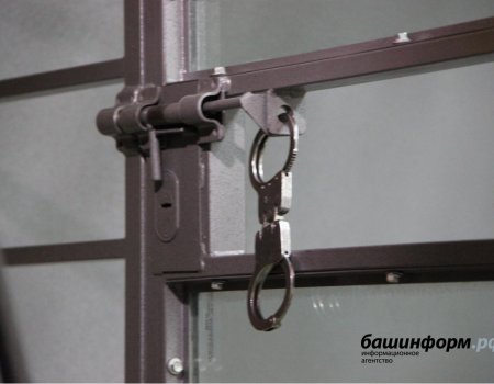 Депутат Башкортостана Руфина Шагапова считает актуальным введение смертной казни для педофилов
