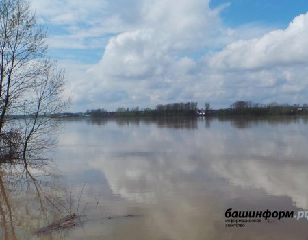 В Башкортостане на реке Белой обнаружена нефтесодержащая жидкость