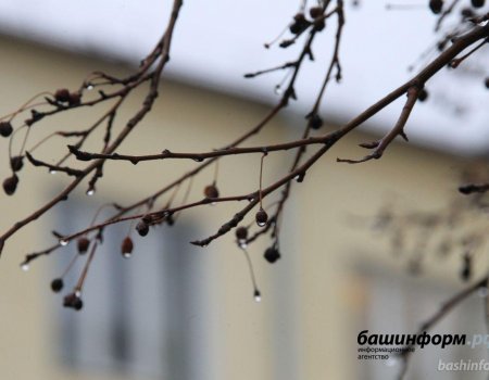 Синоптики сообщили о теплой погоде в марте и прогнозе предстоящего паводка в Башкортостане
