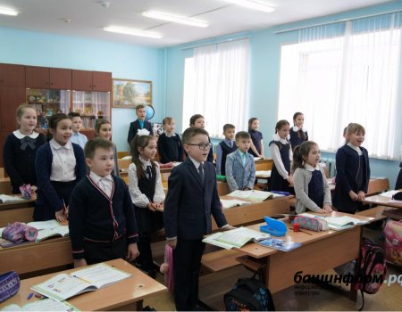 Все школы и детсады Башкортостана на этой неделе работают в штатном режиме - Минобр