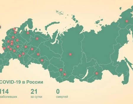 Коронавирус выявлен у жителей трех граничащих с Башкортостаном регионов