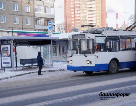 В Башкортостане объекты транспортной инфраструктуры и такси продолжат работать в штатном режиме