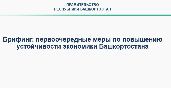В Правительстве Башкортостана пройдет онлайн-брифинг по мерам поддержки экономики