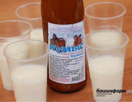 Глава Минсельхоза Башкортостана посоветовал пить кумыс и есть башкирский мед против вируса